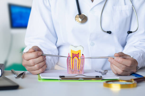 Best Walk-In Emergency Dental Services in New Johnsonville, TN